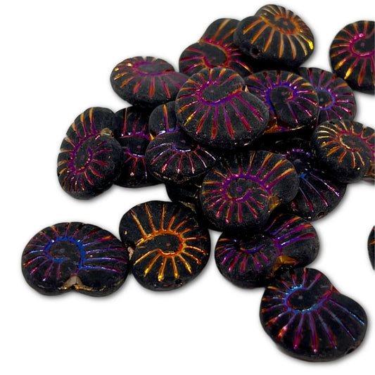 17x13mm Nautilus Shell Bead – Jet Matte Sliperit Wash - Pack of 1