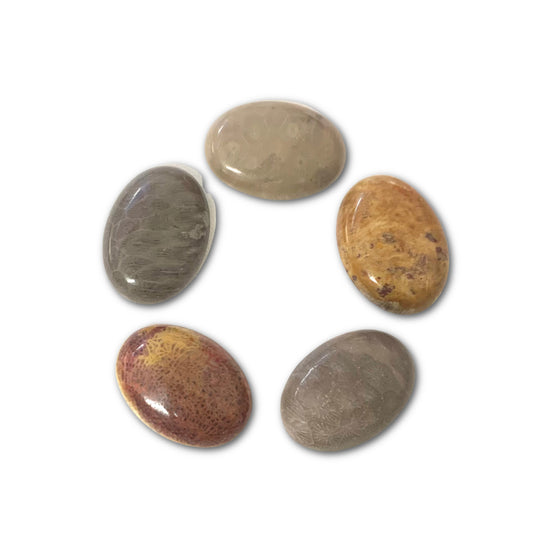 18x25mm Fossil Jasper Cabochon - Per Piece